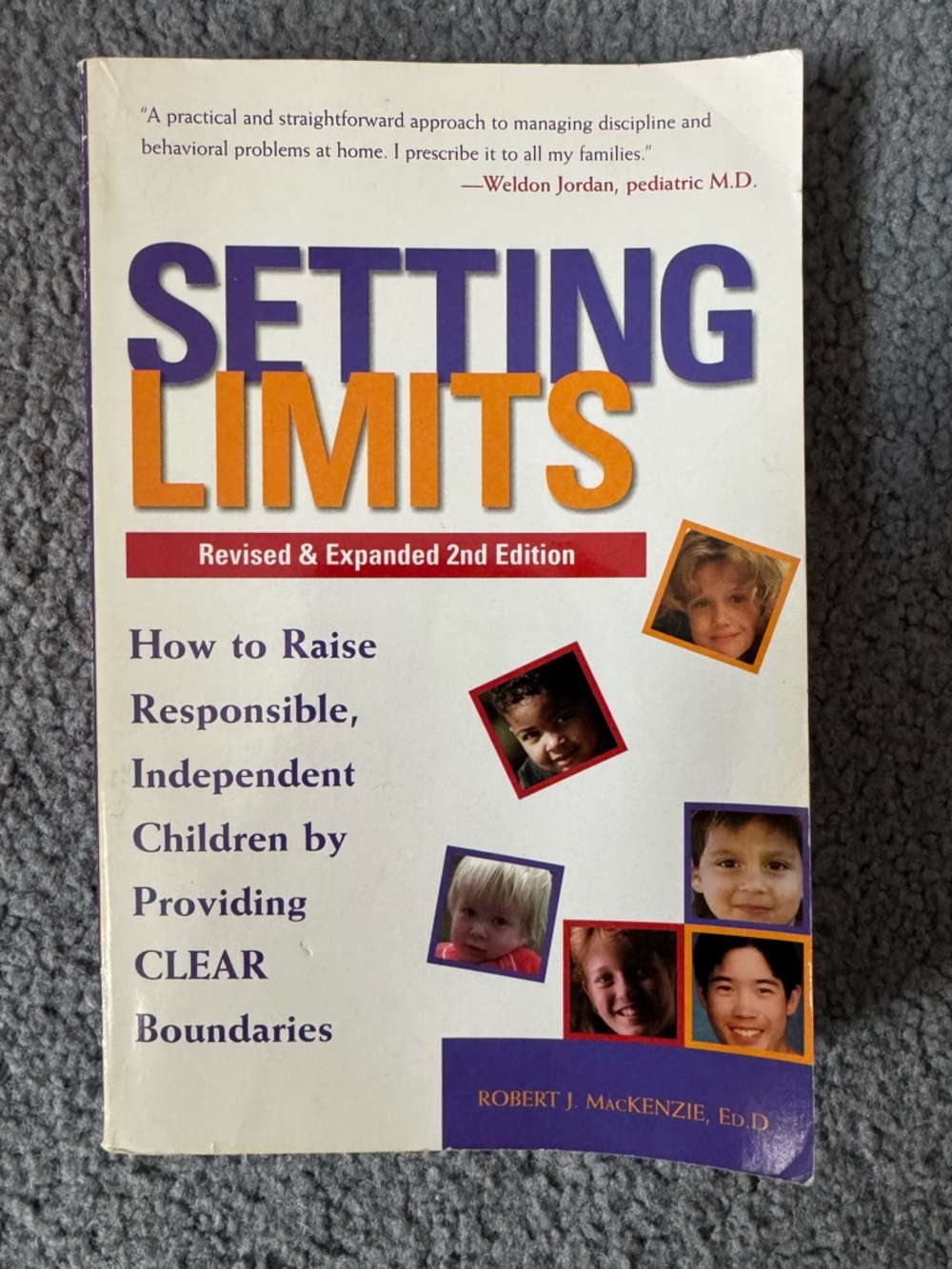 Setting Limits Revised and Expanded 2nd Edition Paperback Book Robert MacKenzie